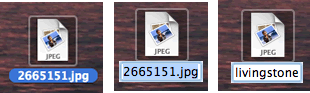 screen shots of renaming a file