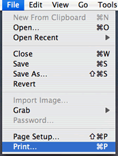 screen shot of saving from the file menu