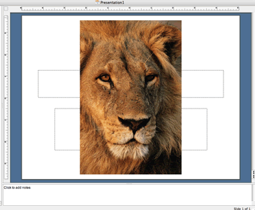 screen shot of dragging and dropping pictures into a 
PowerPoint slide
