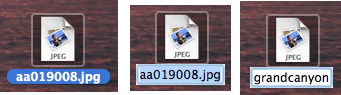 screen shots of renaming a file
